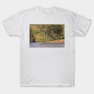Lake Scene T-Shirt